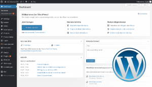 CMS WordPress Webentwicklung bei SEO Bavaria